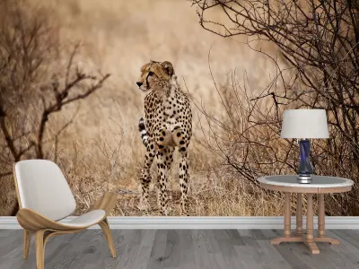 Photo Wallpaper No 47 Low-poly 3D model