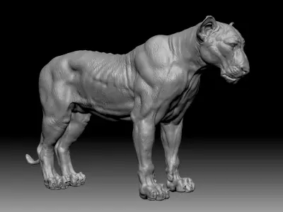 Animals - Lion 3D model
