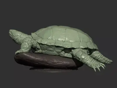 Turtle 3d model 3D print model