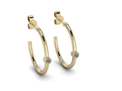 Jewelry Earrings 3D print model purchase