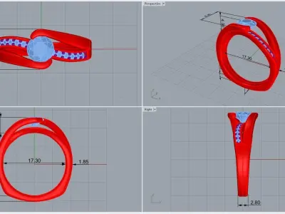 ring code 214 3D print model