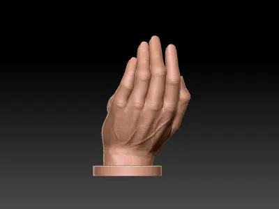 the baby is sleeping in the hand 3D print model