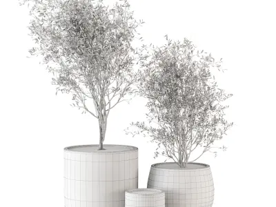 Outdoor Plants tree in Dark Concrete Pot - Set 4 3D model