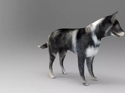 Dog Rigged and Animated  Low-poly 3D model