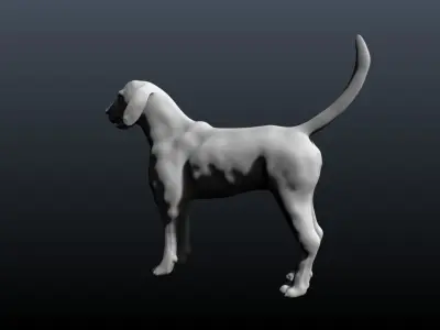 HOUND dog 3D model