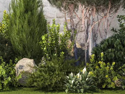 Garden cypress thuja pine topiary barberry 1397 3D model