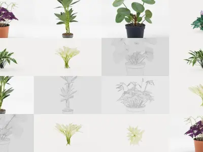 Collection-1 of House Plant 3D Models - 22 Models