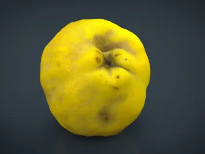 Grapefruit potato Low-poly 3D model