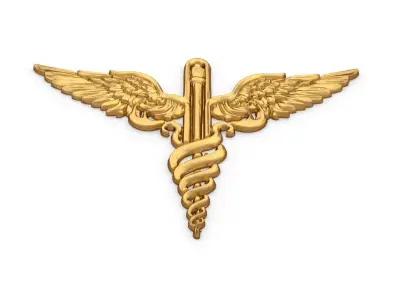 Relief Caduceus carved 01 3D model