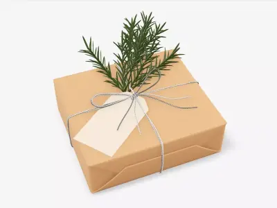 Wrapped Christmas gift 06 3D model