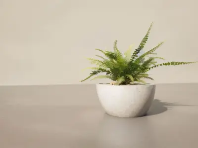 SEMECLE Free 3D print model
