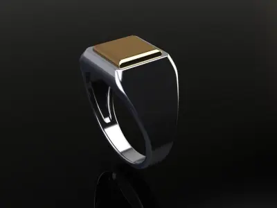 Square Signet Ring Two Tone Mix Size 3D print model