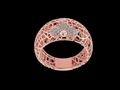 Net Ring  3D print model