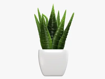 Potted plant decorative 05 3D model