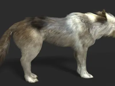 WOLF FUR MODEL 3D model