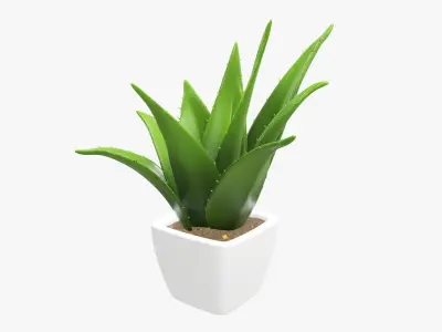 Cactus composition artificial 01 3D model