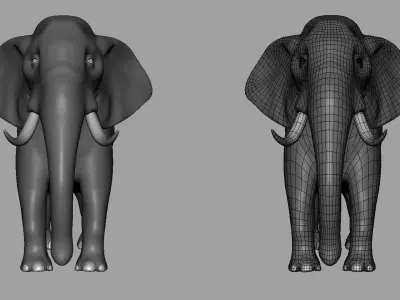 Elephant Model Low-poly 3D model