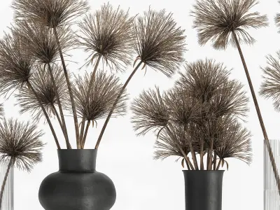 Bouquet of dried flowers Cyperus in a vase 177 3D model