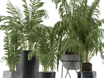 Plants Collection 18 3D model purchase