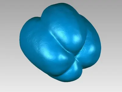 Real Paprika Chilli High Detail 3D Scan 3D print model