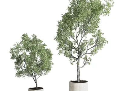 indoor plant set 374 plant tree bush concrete dirt vase Low-poly 3D model