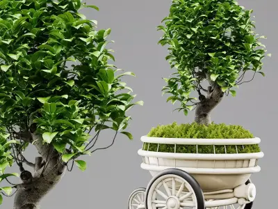 Indoor Plant Bonsai 01 3D model