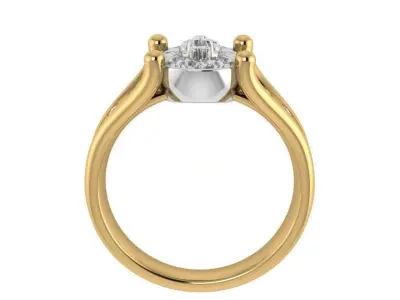 Oval Lion Ring 2531 3D print model