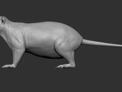 VFX Ready marmot 3d model 3D model