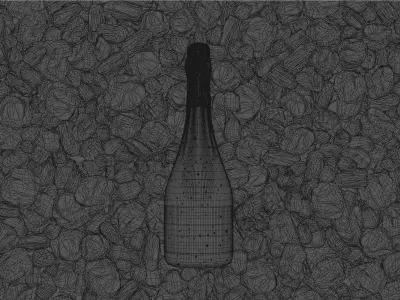 Wine bottle with coal 3D model