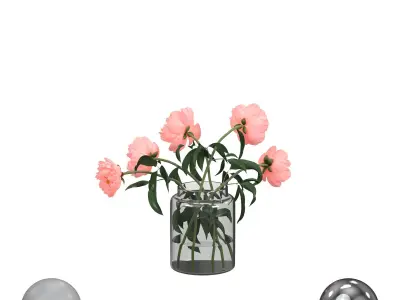 Light pink peonies  3D model