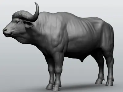 Wild animal collection - 10 animals VOL-3 3D model