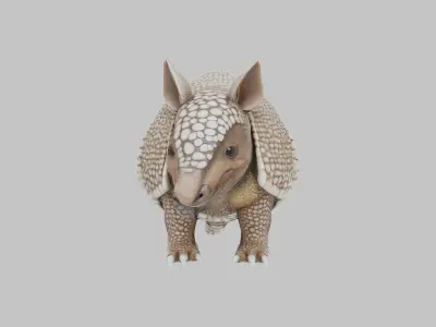 Low Poly Armadillo Low-poly 3D model