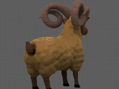 Sheep V02 3D model