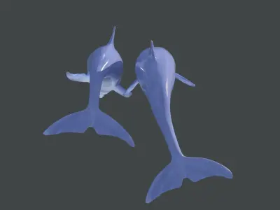 Dolphins two 3D model