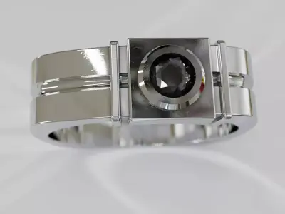 ring MR 173 3D print model