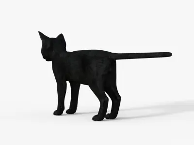 Realistic 3D Black  Kitten Rigged 3D model