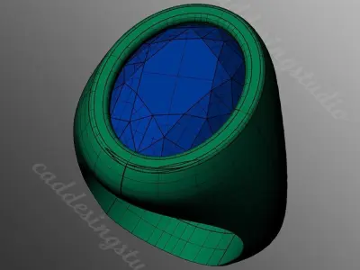 Ring bi89 3D print model