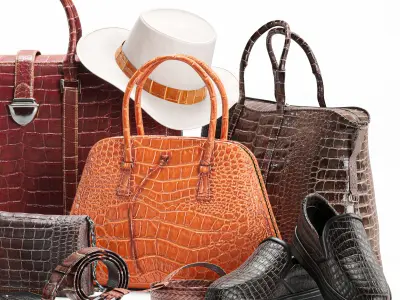 Set of bags 3D model