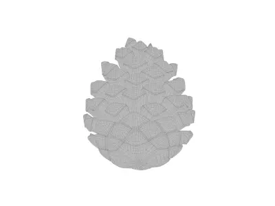 pine cone 3D model