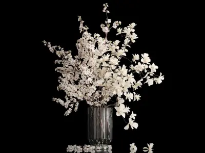 White sakura bouquet cherry blossoms Magnolia 340 3D model