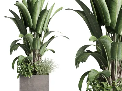 Concrete box plants on stand set plant concrete dirt vase 3D model