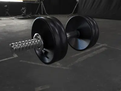 Dumbbell pair of dumbbells 3D model purchase