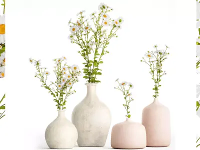 Set of bouquets of white wildflowers chamomile daisies 414 3D model