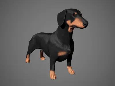 Dachshund Real-Time Low-poly 3D model