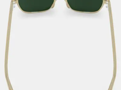 Brimmer Sunglasses in Honeydew Low-poly 3D model