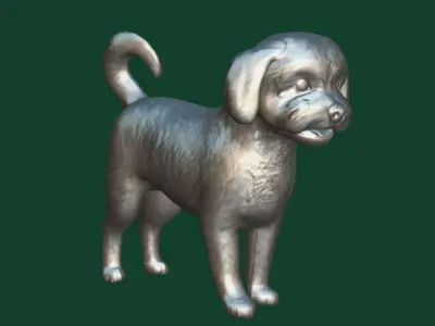 Havanese Dog Breed  Marvin 3D model