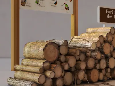 Foret domaniale  Free 3D model