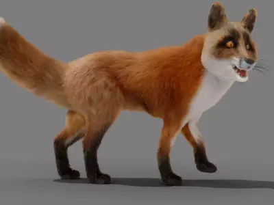 Fur Fox Rigged 02 Low-poly 3D model