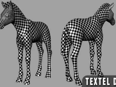 Baby Zebra Low-poly 3D model