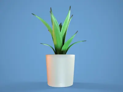 Potted Succulent 3D model